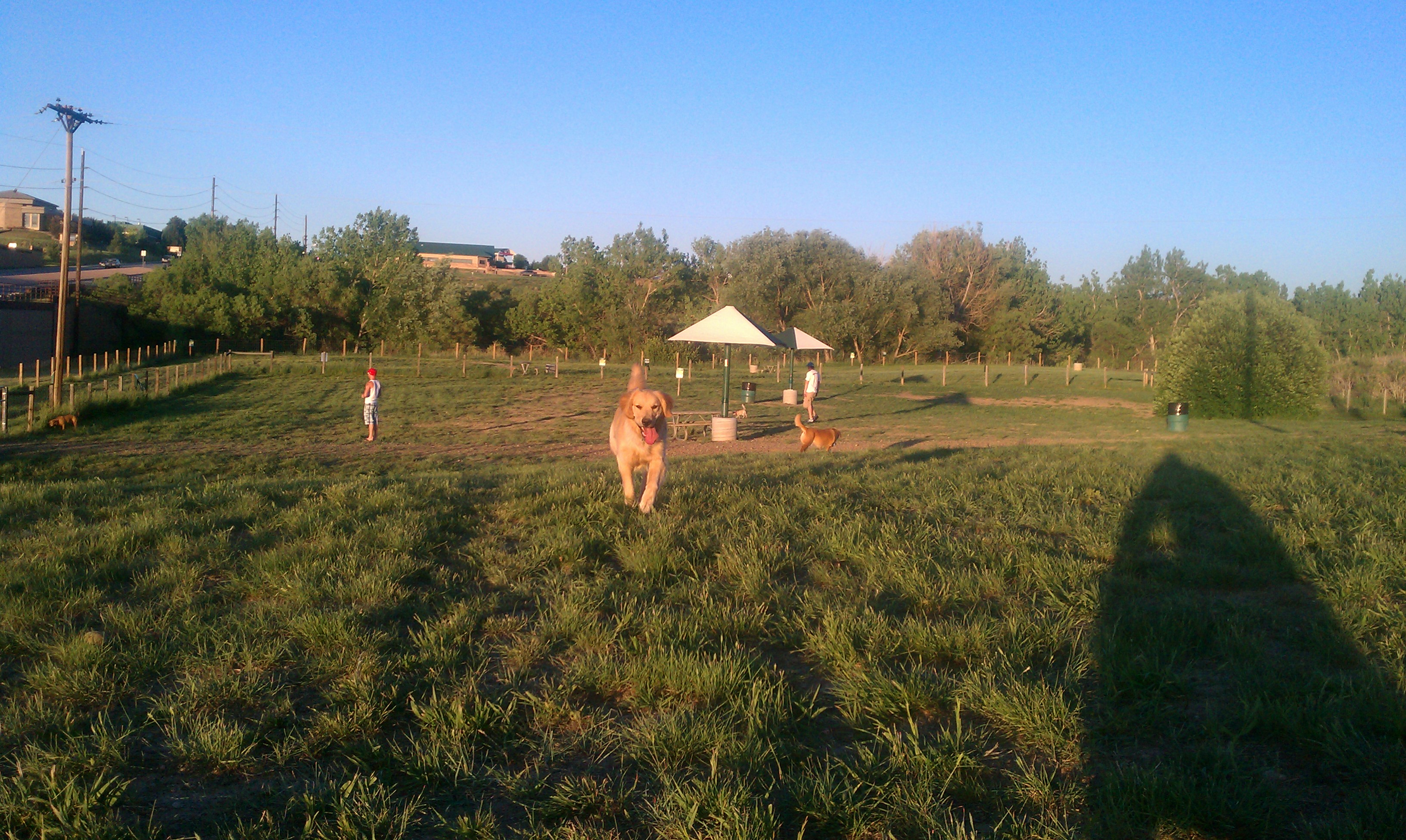 Bark Park Dog Park