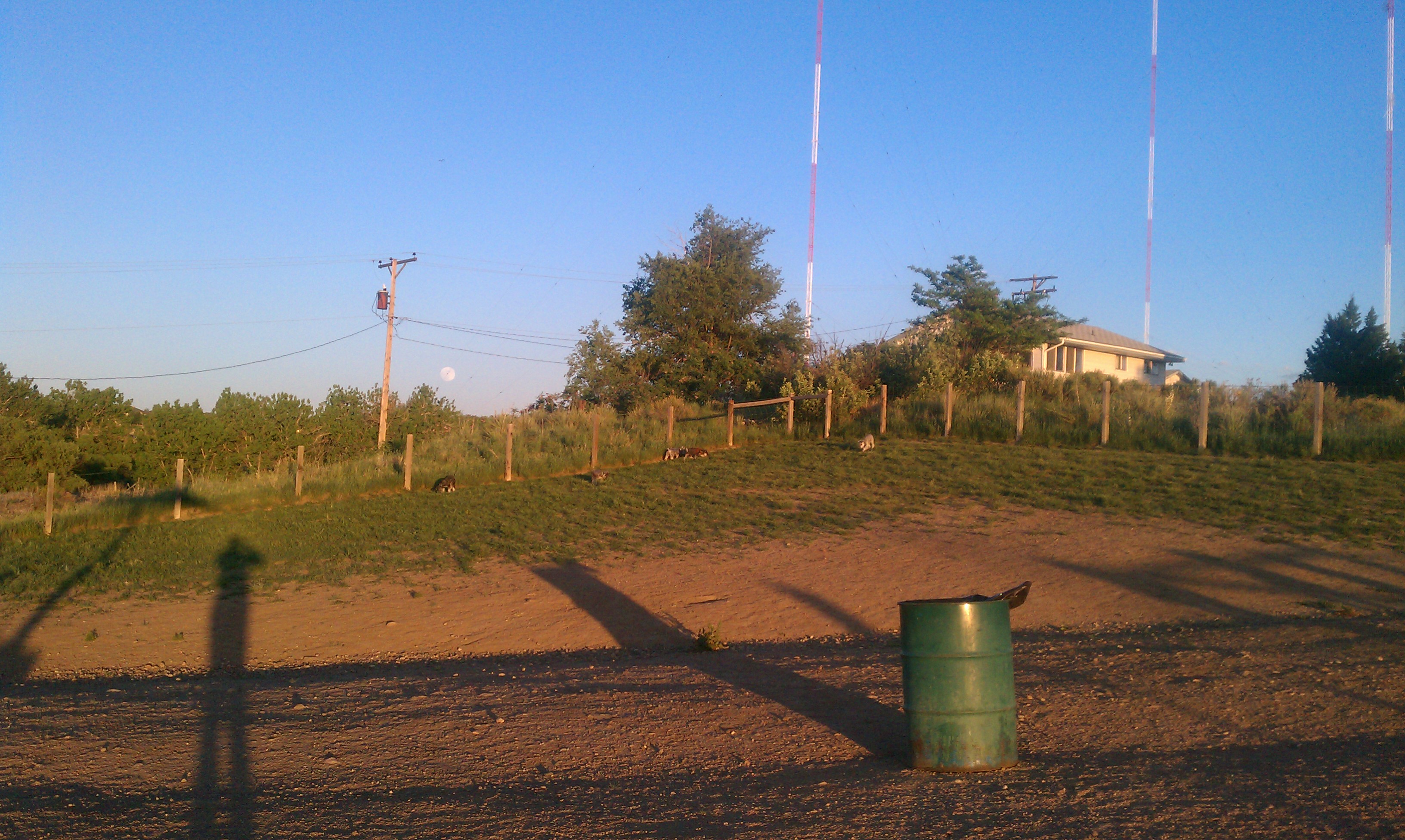 Bark Park Dog Park
