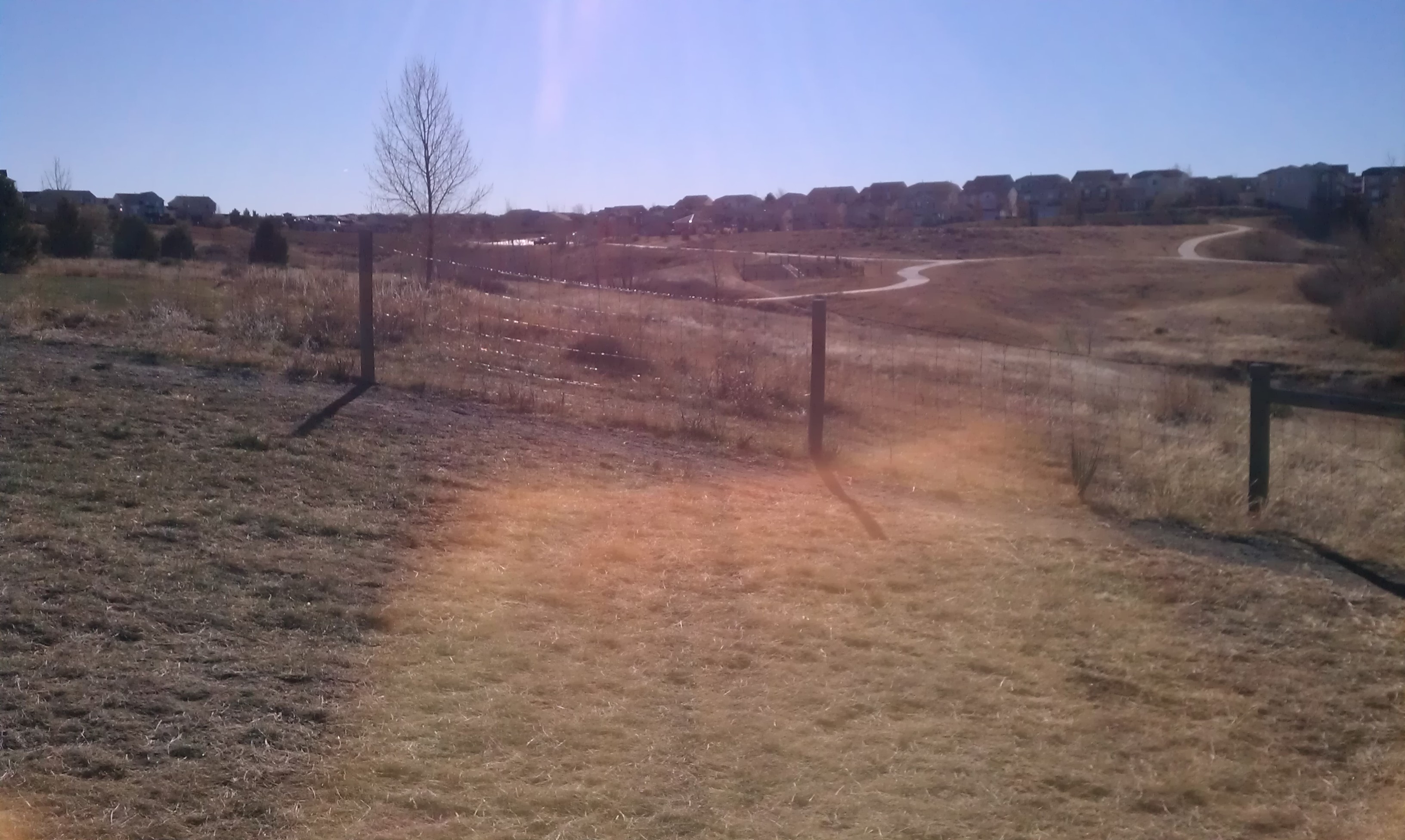Diggers-Dog-Park