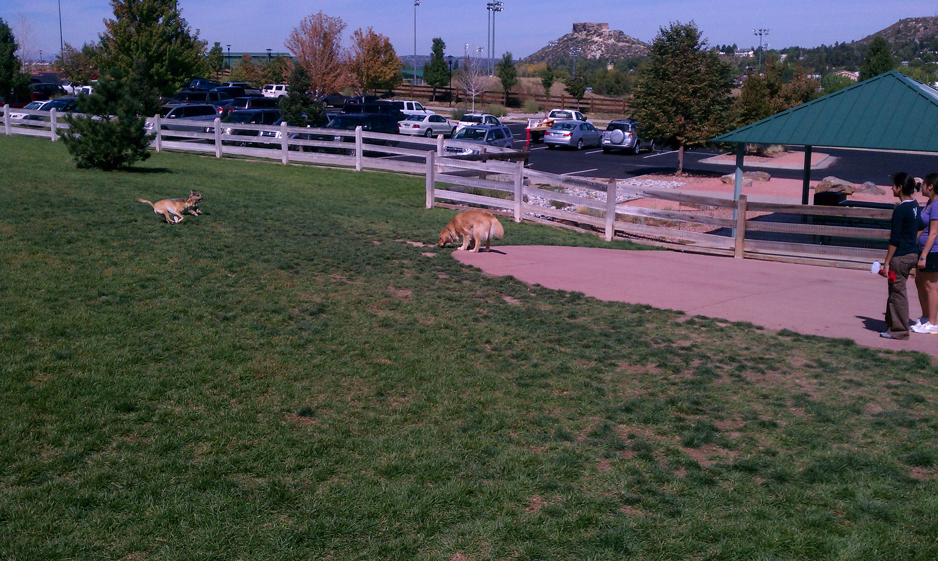 Fair Ground Regional Dog Park