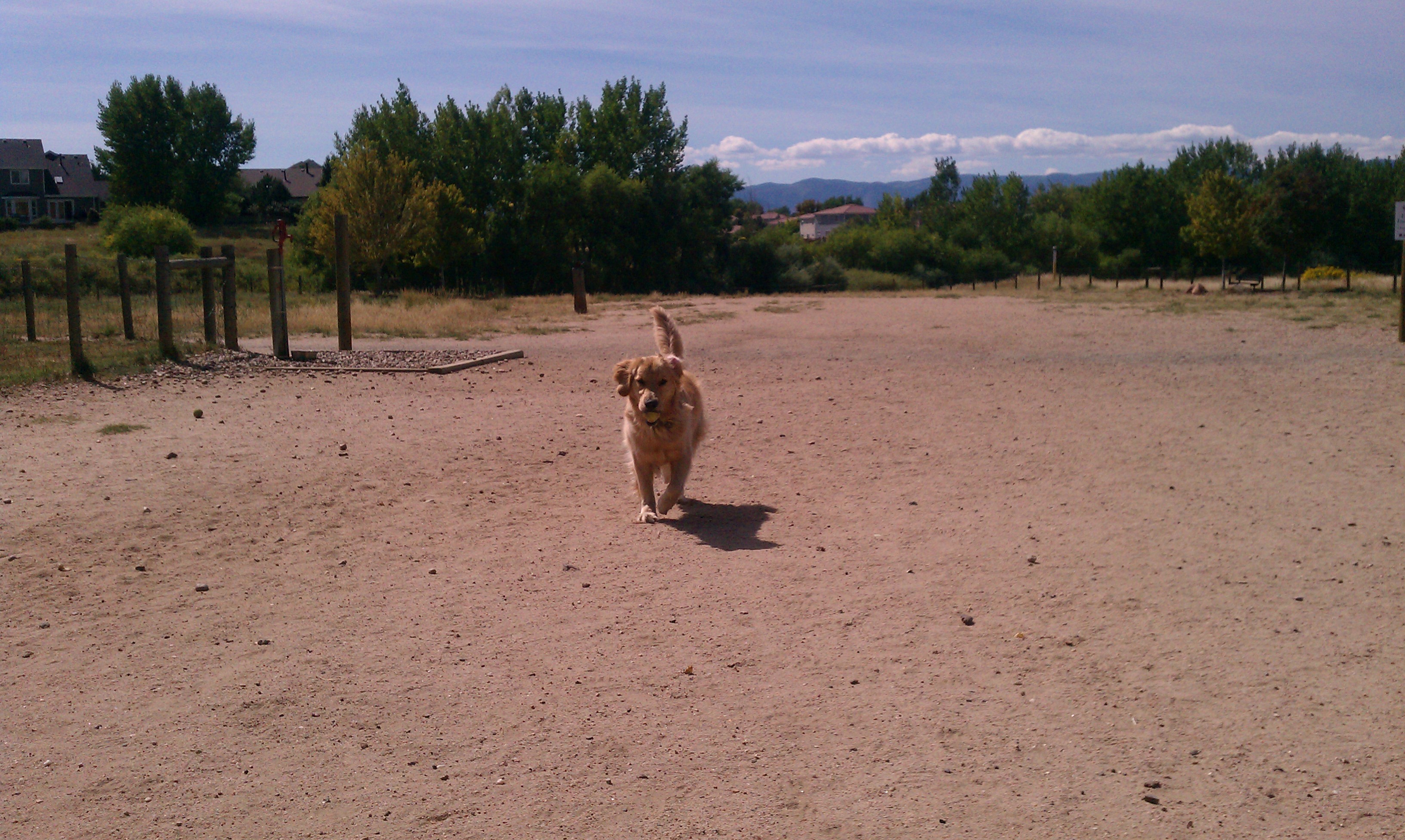 Fido's Dog Park