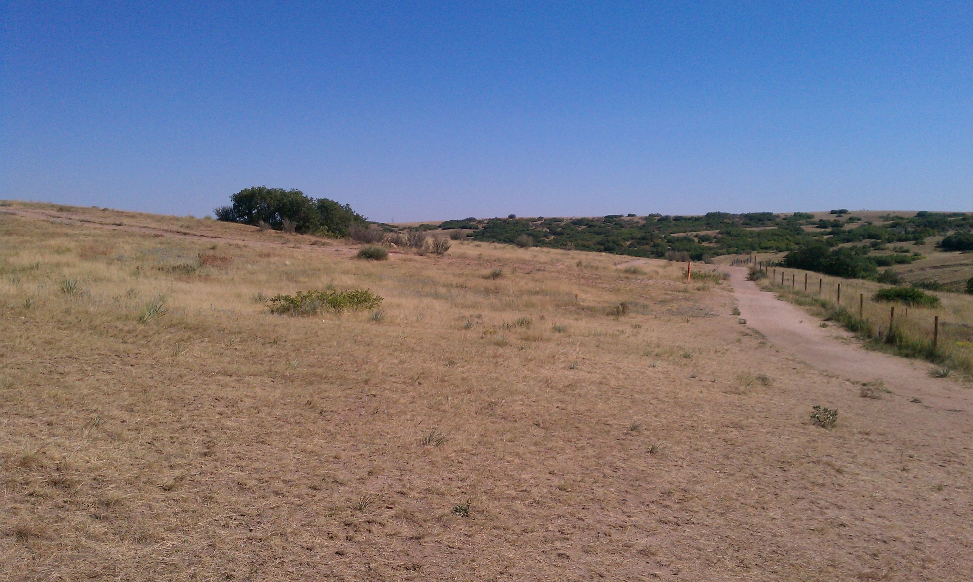 Glendale Dog Park