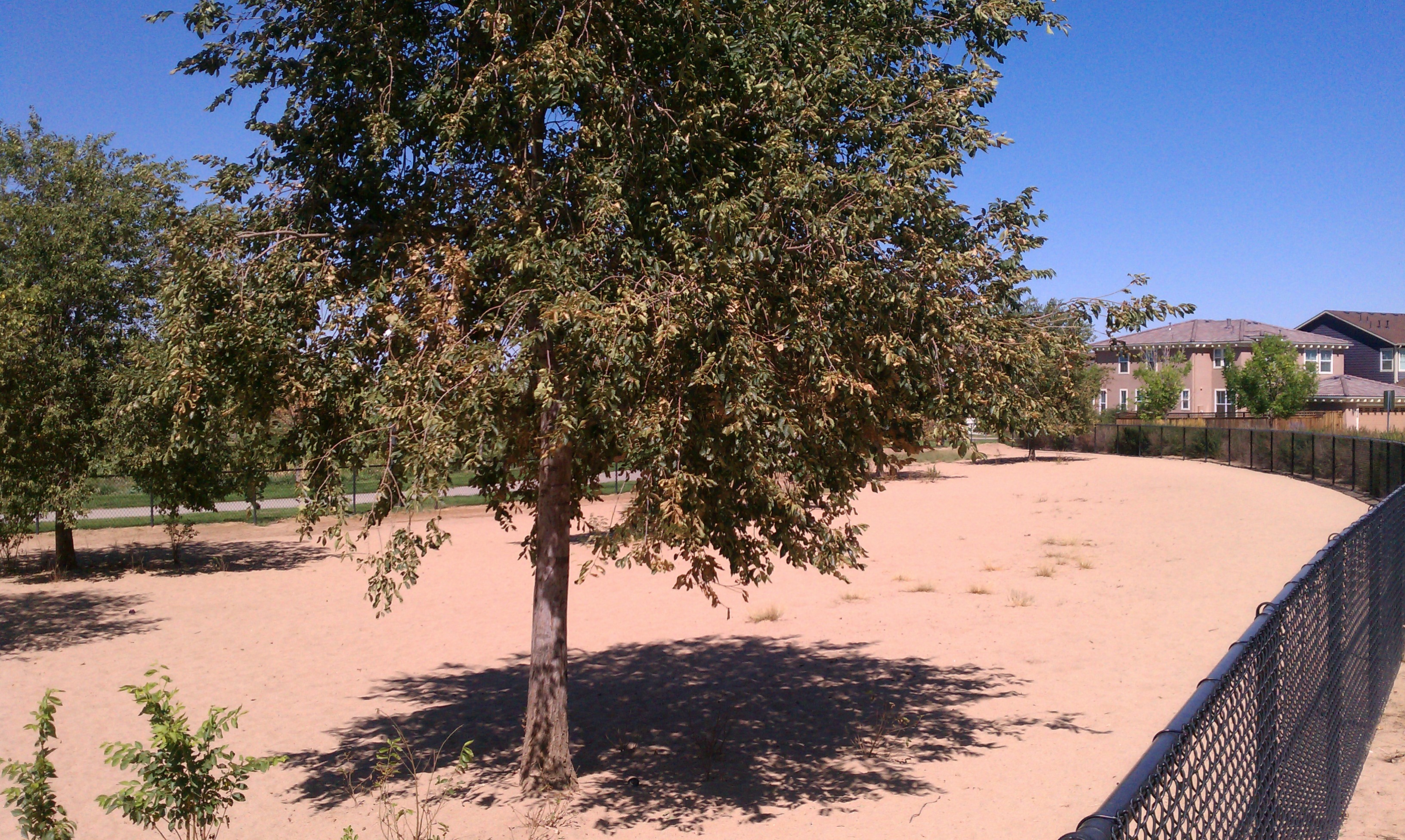Sstapleton Dog Park